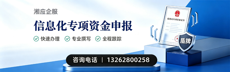 潮州信息化专项资金申报服务