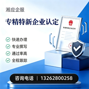 潮州专精特新企业申报服务