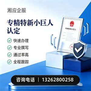 潮州专精特新小巨人申报服务