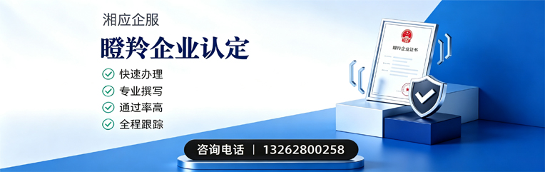 潮州瞪羚企业认定申报服务
