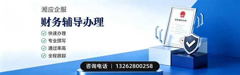 潮州财务辅导申请服务