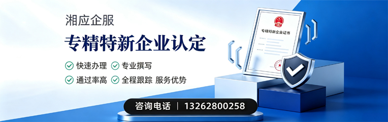 潮州专精特新企业申报服务