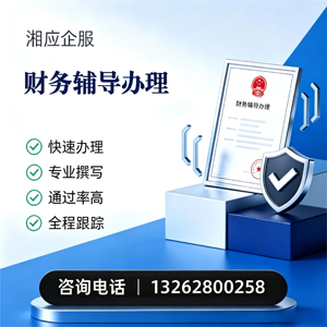 潮州财务辅导申请服务