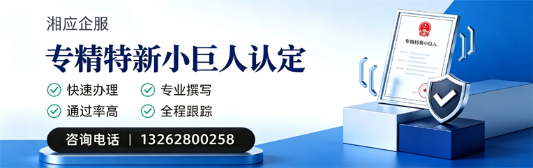 潮州专精特新小巨人申报服务